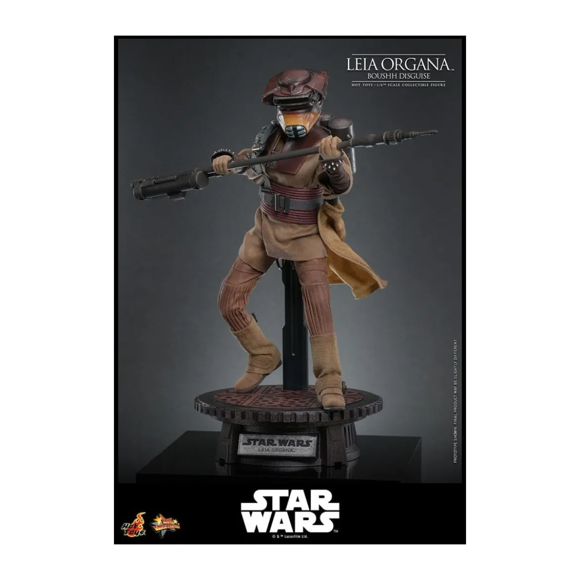 Hot Toys Star Wars Return of the Jedi - Leia Organa (Boussh Disguise) MMS854