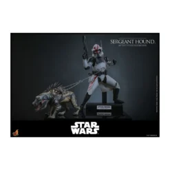 Hot Toys Star Wars - Sergeant Hound - The Clone Wars 1/6