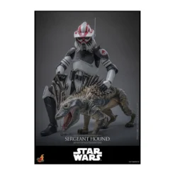 Hot Toys Star Wars - Sergeant Hound - The Clone Wars 1/6