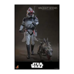 Hot Toys Star Wars - Sergeant Hound - The Clone Wars 1/6