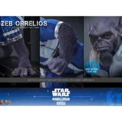Hot Toys Star Wars - Zeb Orrelios 1/6 MMS876 - Star Wars: The Mandalorian & Grogu