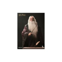 INART - Albus Dumbledore Deluxe Version 1/6 Scale Collectible Figure - Harry Potter and the Chamber of Secrets