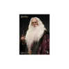 INART - Albus Dumbledore Premium Version 1/6 Scale Collectible Figure - Harry Potter and the Chamber of Secrets