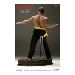 Infinite Statue X Kaustic Plastik - Frank Dux Deluxe 1/6 -Bloodsport