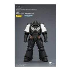 JoyToy Space Marines - Black Templars - Intercessors 1/18 - Warhammer 40K
