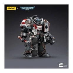 JoyToy Space marines - Grey Knights - Terminator Caddon Vibova 1/18 - Warhammer 40K