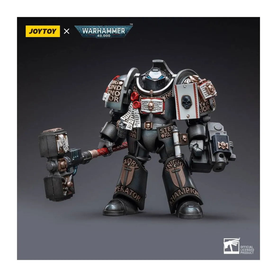 JoyToy Space marines - Grey Knights - Terminator Caddon Vibova 1/18 - Warhammer 40K