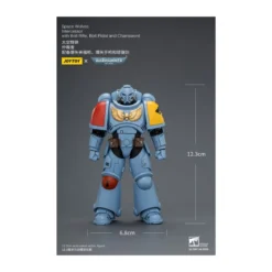 JoyToy Space Marines - Space Wolves - Intercessors 1/18 - Warhammer 40K