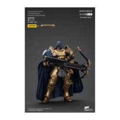 JoyToy - Stormcast Eternals The Blacktalons - Shakana Goldenblade 1/18 - Warhammer Age of Sigmar