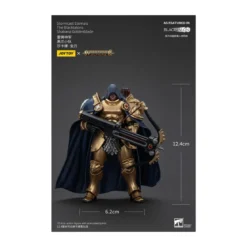 JoyToy - Stormcast Eternals The Blacktalons - Shakana Goldenblade 1/18 - Warhammer Age of Sigmar