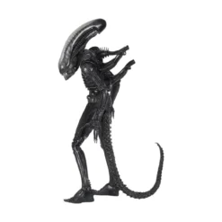 Neca Alien 1979 - Big Chap 1/4 - Kenner Box