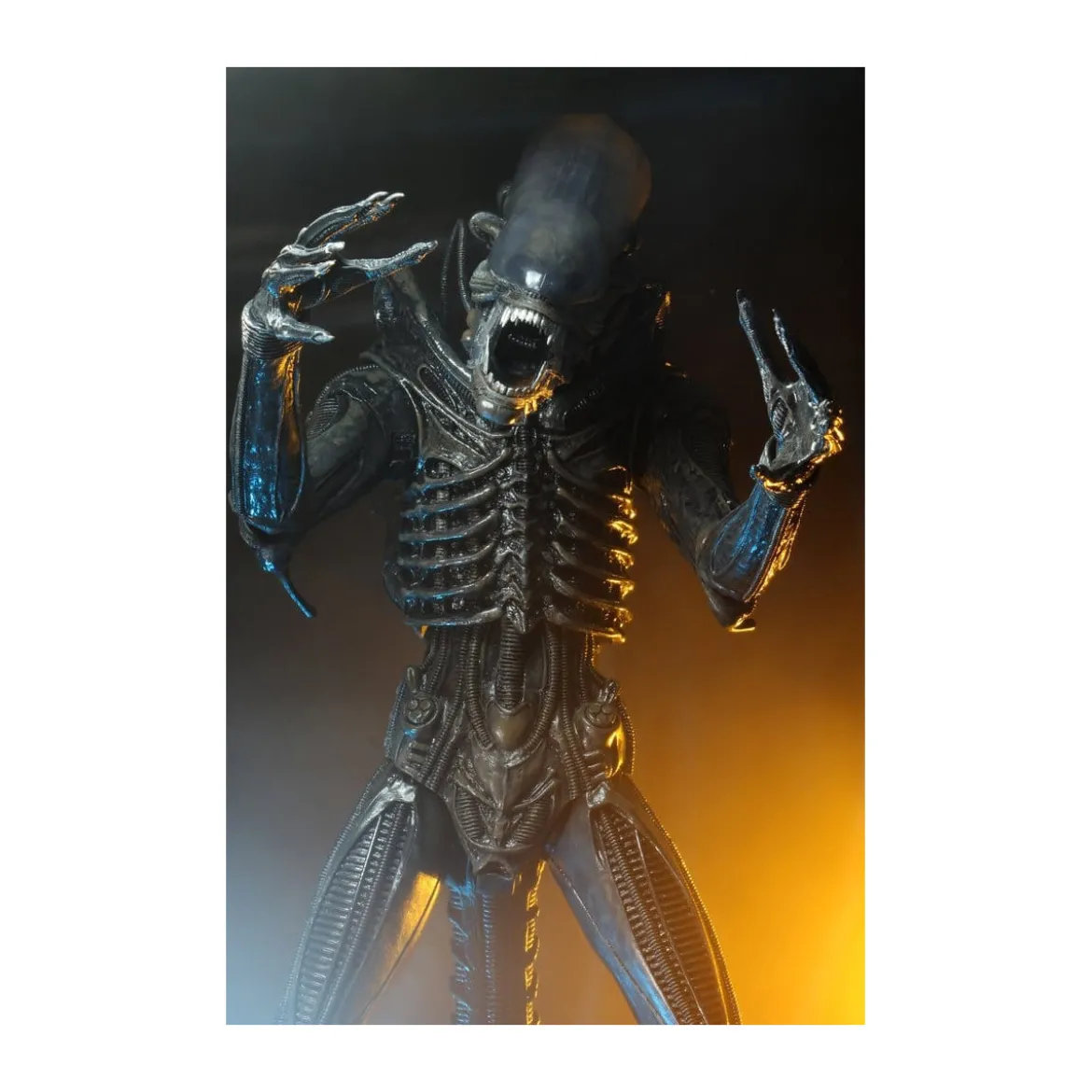Neca Alien 1979 - Big Chap 1/4 - Kenner Box