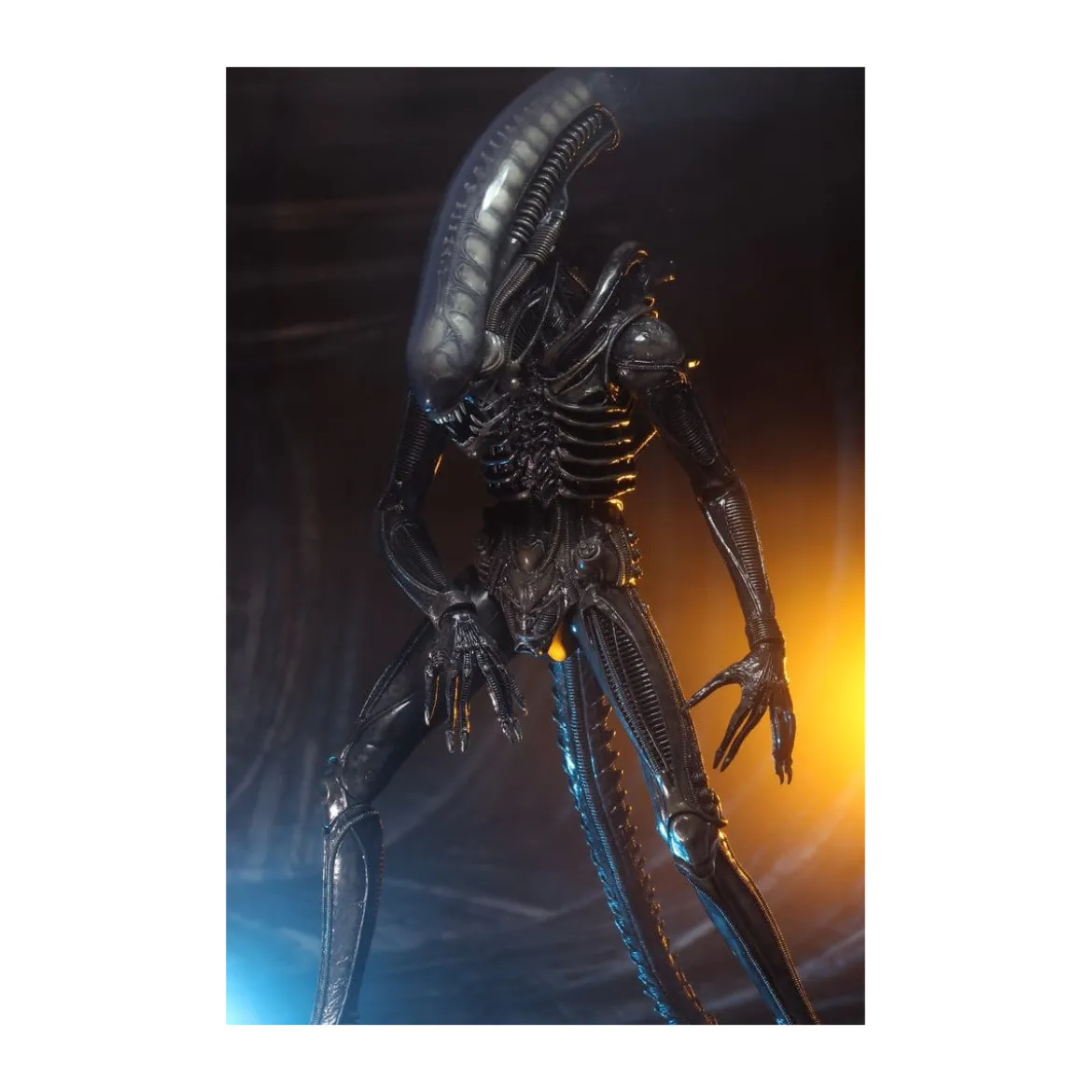 Neca Alien 1979 - Big Chap 1/4 - Kenner Box