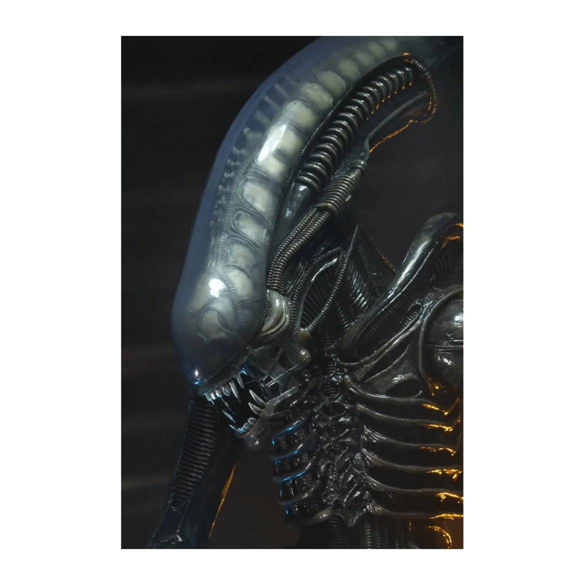 Neca Alien 1979 - Big Chap 1/4 - Kenner Box