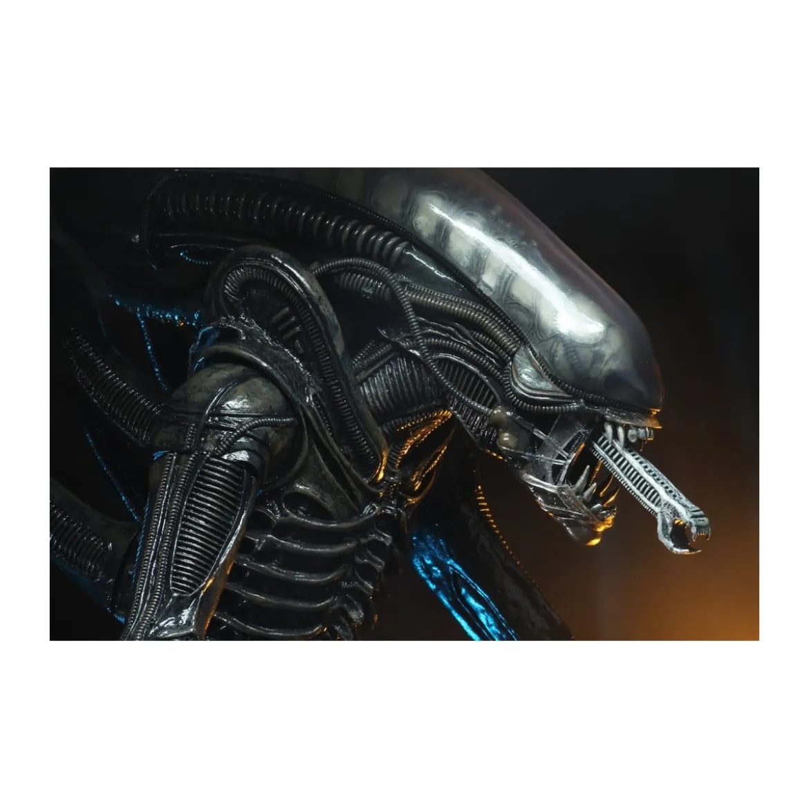 Neca Alien 1979 - Big Chap 1/4 - Kenner Box