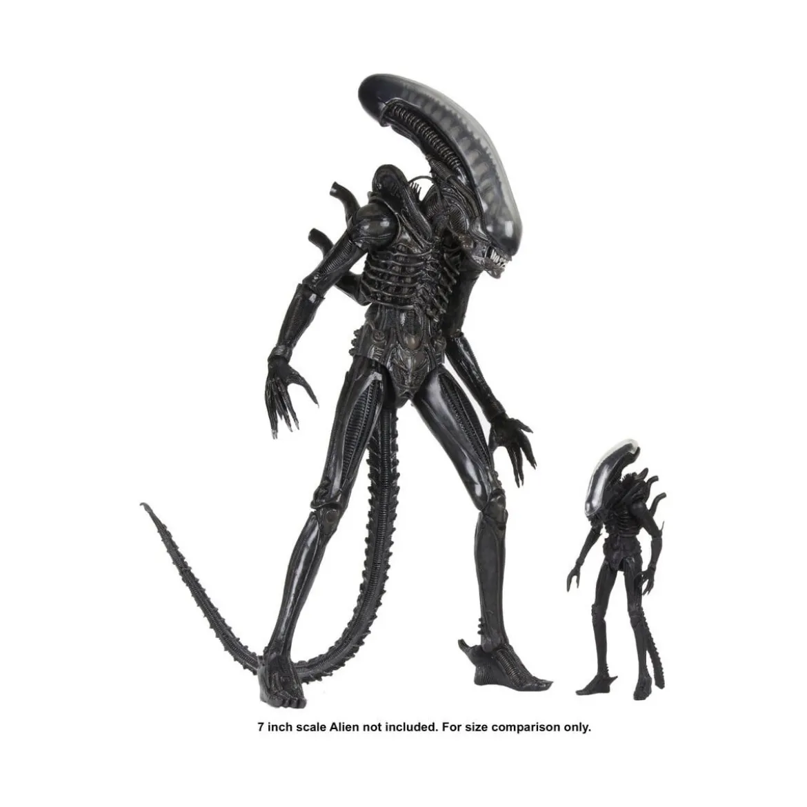 Neca Alien 1979 - Big Chap 1/4 - Kenner Box