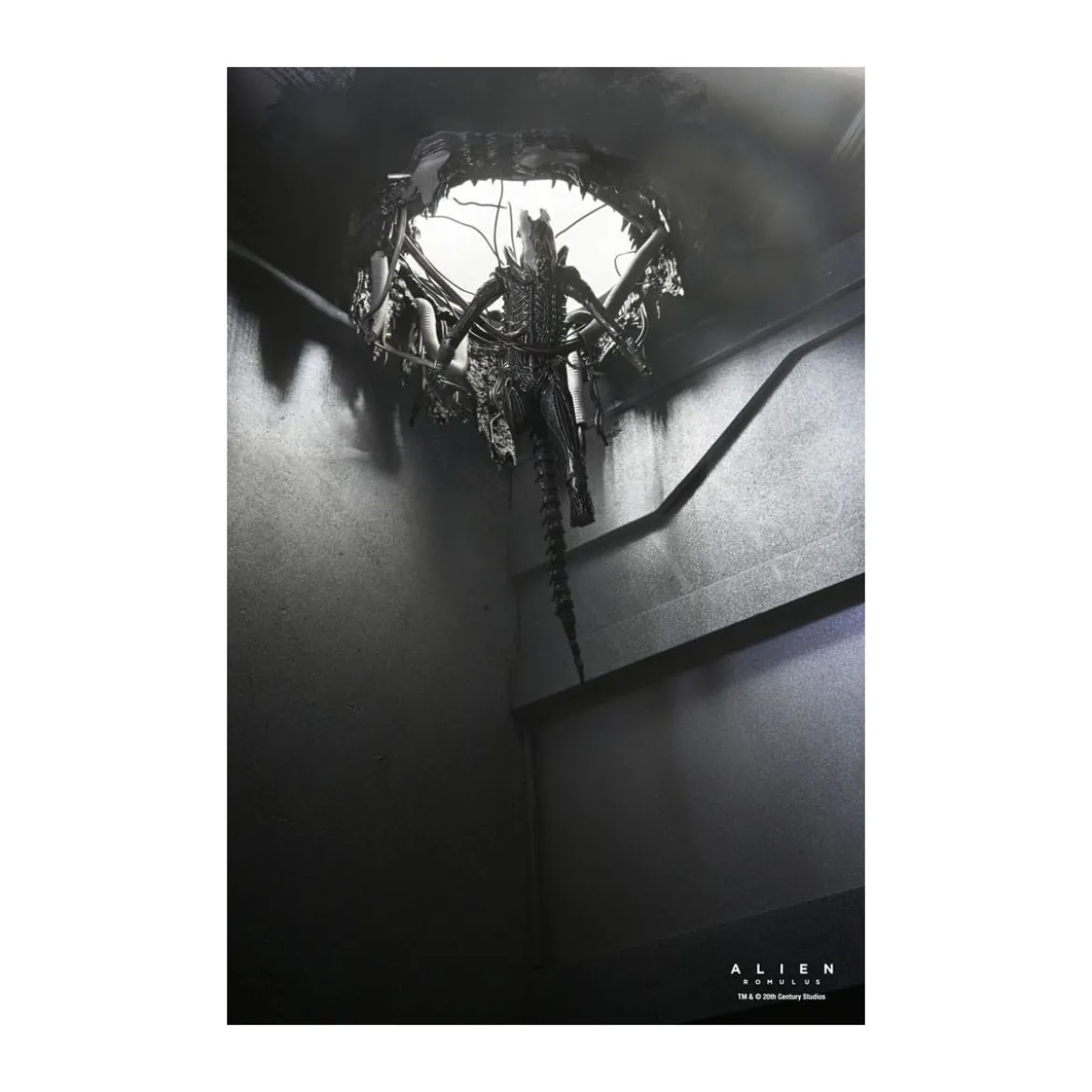Neca - Alien: Romulus - Deluxe Suspended Lab Xenomorph XX121