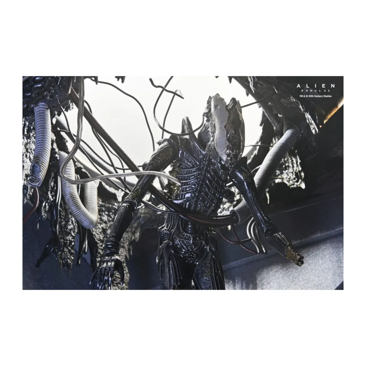 Neca - Alien: Romulus - Deluxe Suspended Lab Xenomorph XX121