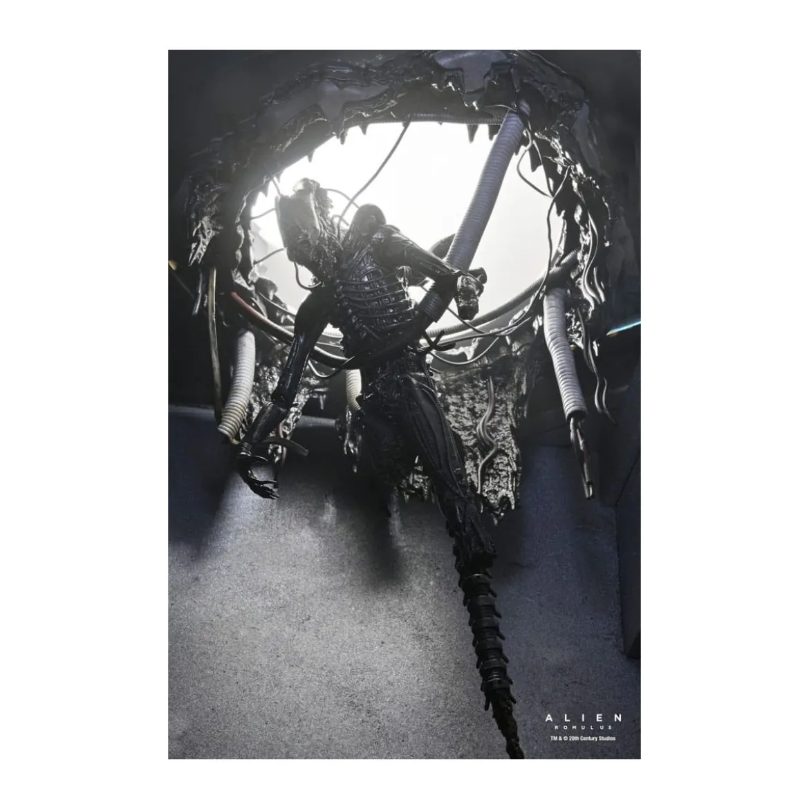 Neca - Alien: Romulus - Deluxe Suspended Lab Xenomorph XX121