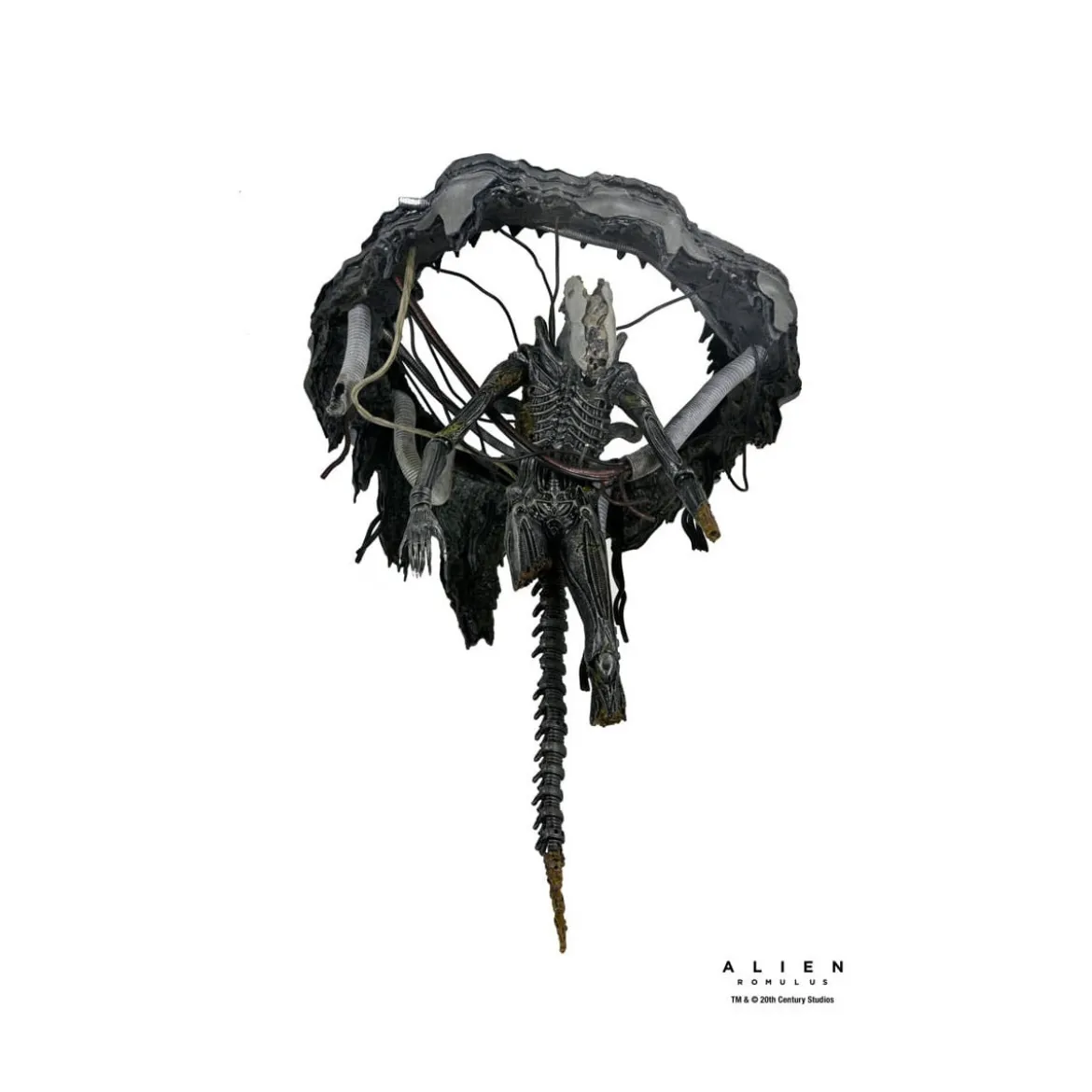 Neca - Alien: Romulus - Deluxe Suspended Lab Xenomorph XX121