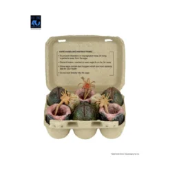 Neca Aliens - Carton of Alien Eggs (40th Anniversary) - 6 pack accessory pack
