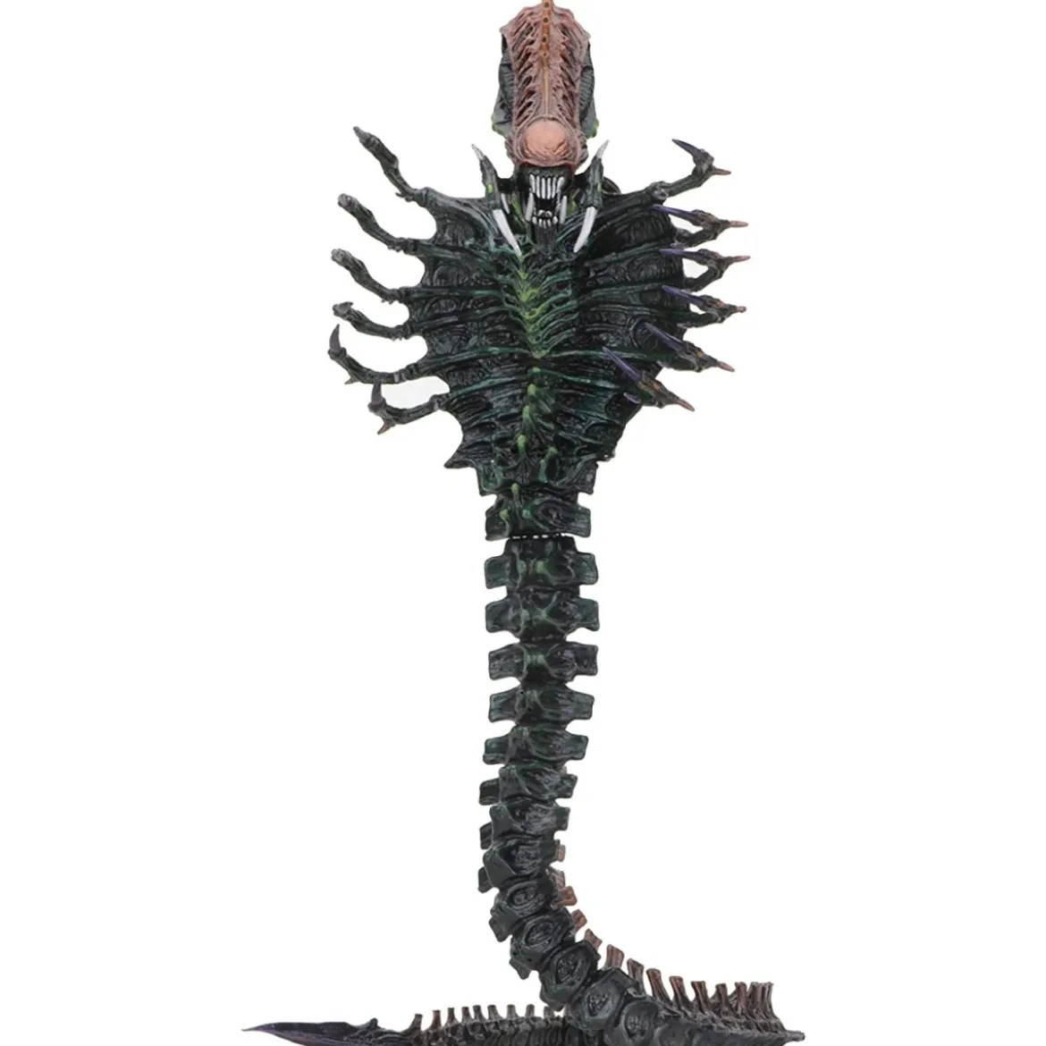 NECA ALIENS - Snake Alien Serie 13