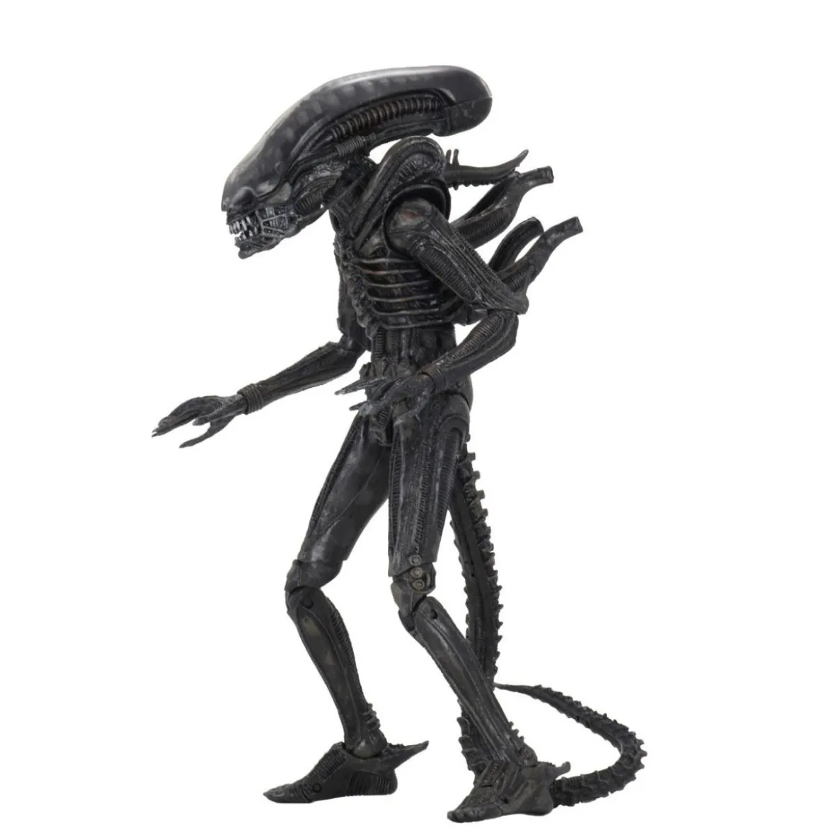 Neca Alien 1979 - Ultimate BIG CHAP