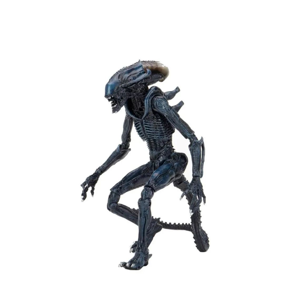 Neca Alien vs Predator - Alien Realistic Appearance - Set Complet de 3 figurines
