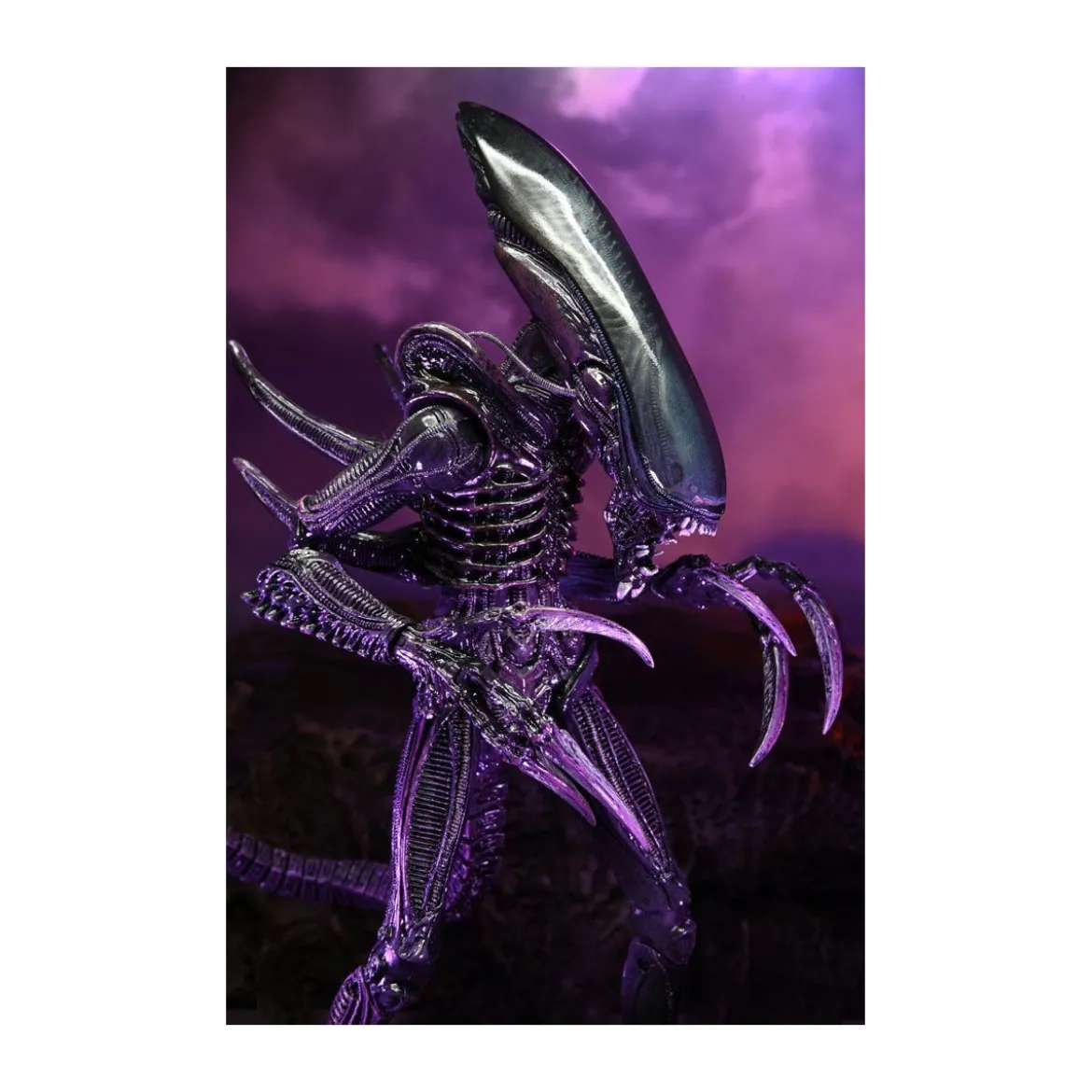 Neca Alien vs Predator - Alien Realistic Appearance - Set Complet de 3 figurines