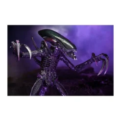 Neca Alien vs Predator - Alien Realistic Appearance - Set Complet de 3 figurines