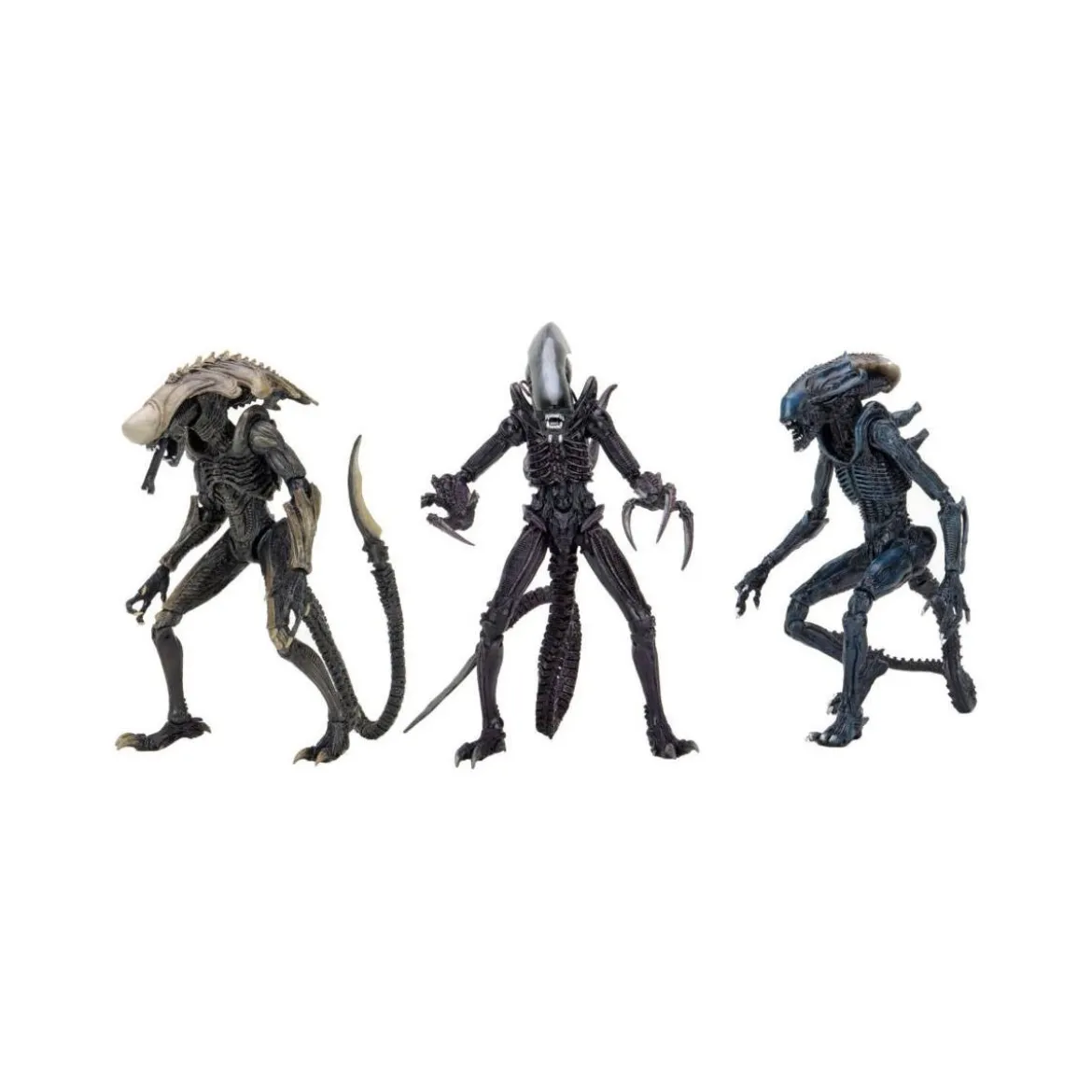 Neca Alien vs Predator - Alien Realistic Appearance - Set Complet de 3 figurines