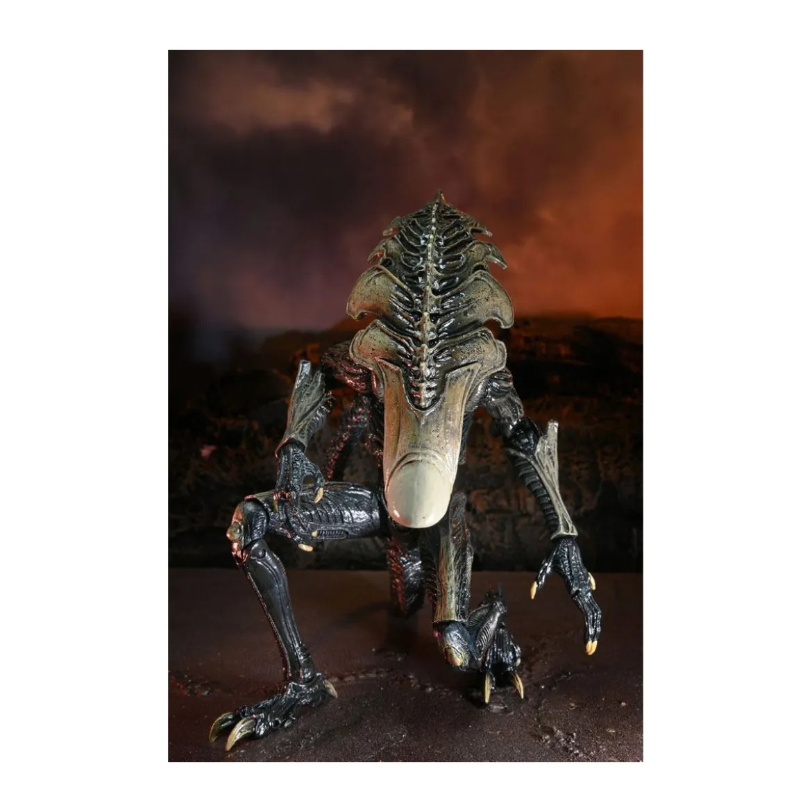 Neca Alien vs Predator - Alien Realistic Appearance - Set Complet de 3 figurines