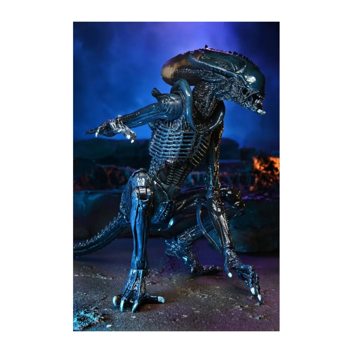 Neca Alien vs Predator - Alien Realistic Appearance - Set Complet de 3 figurines
