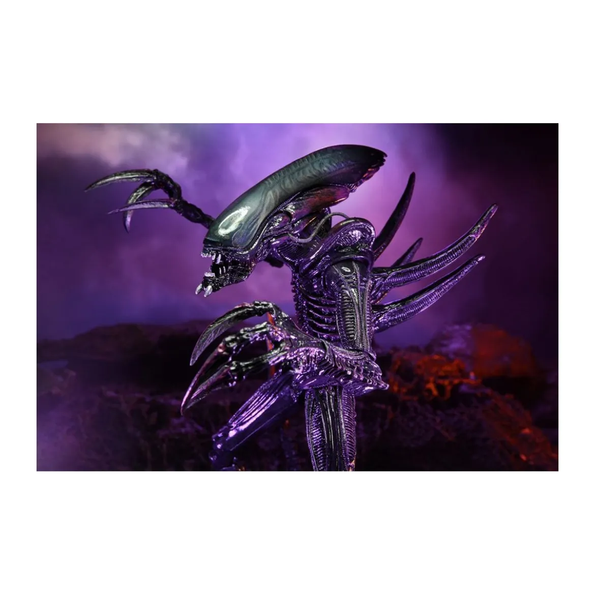 Neca Alien vs Predator - Alien Realistic Appearance - Set Complet de 3 figurines