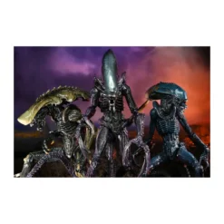 Neca Alien vs Predator - Alien Realistic Appearance - Set Complet de 3 figurines