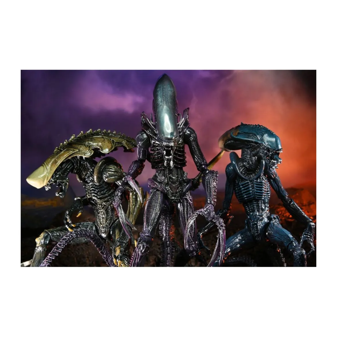Neca Alien vs Predator - Alien Realistic Appearance - Set Complet de 3 figurines