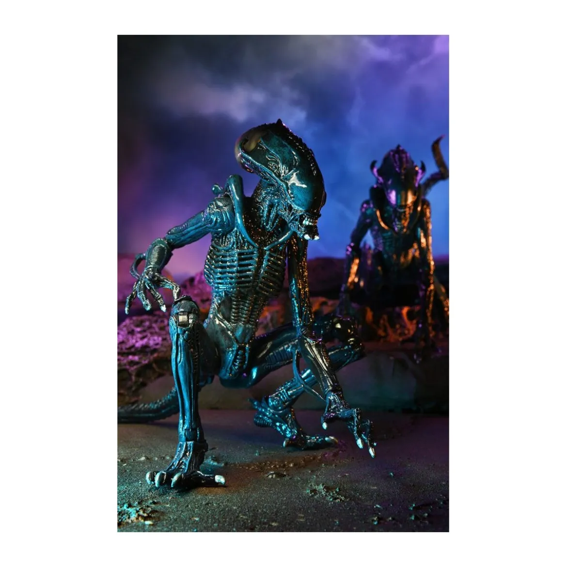 Neca Alien vs Predator - Alien Realistic Appearance - Set Complet de 3 figurines