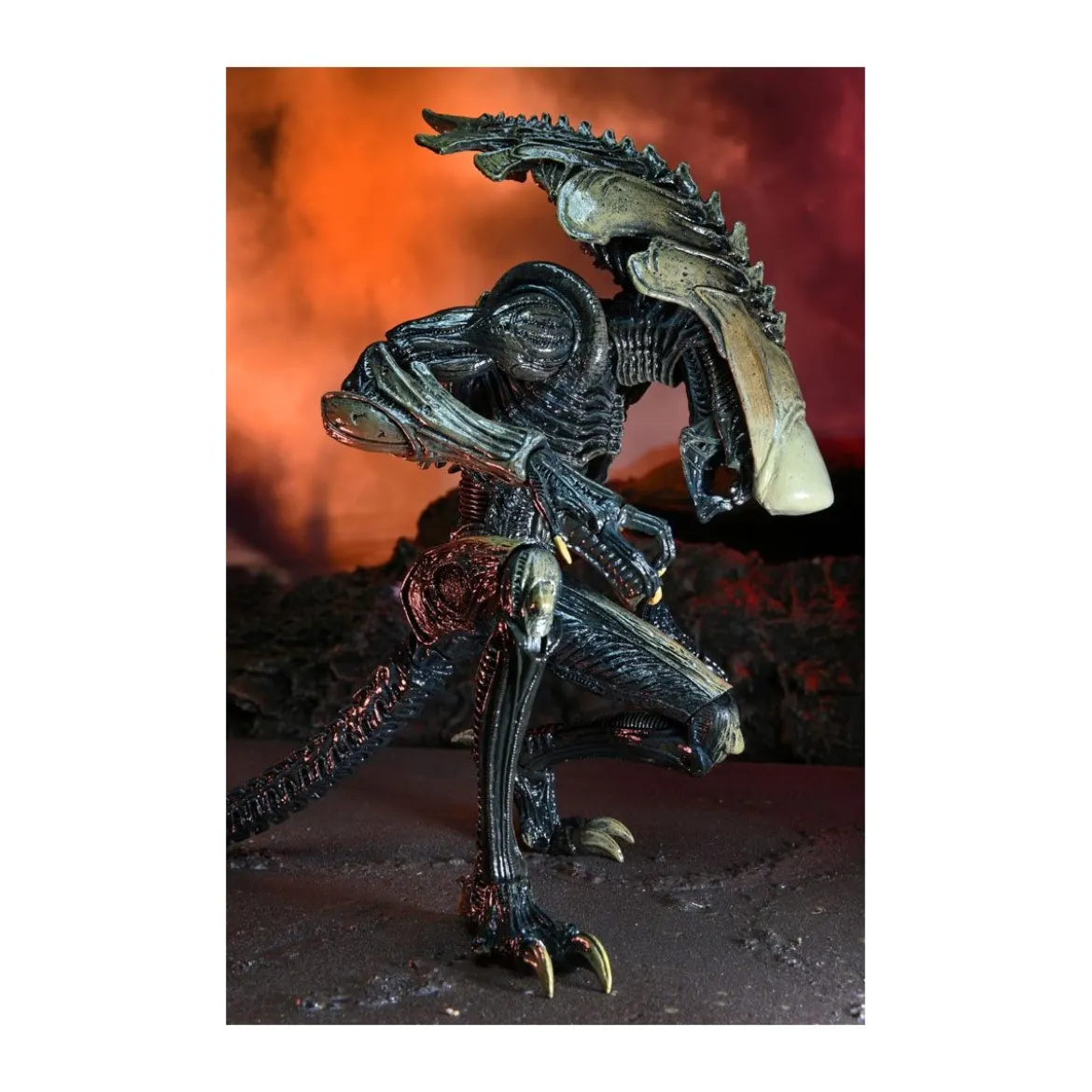 Neca Alien vs Predator - Alien Realistic Appearance - Set Complet de 3 figurines
