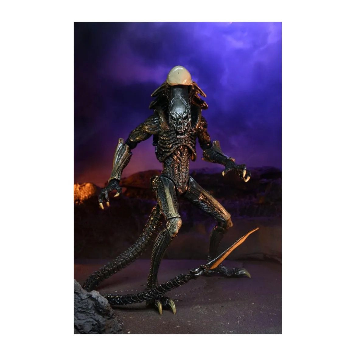 Neca Alien vs Predator - Alien Realistic Appearance - Set Complet de 3 figurines