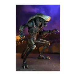 Neca Alien vs Predator - Alien Realistic Appearance - Set Complet de 3 figurines