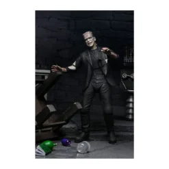 NECA Universal Monsters - 2 pack Bride of Frankenstein 90th Anniversary The Monster & His Mate