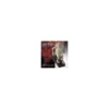 Noble Collection Harry Potter bloque-porte Dobby 15 cm