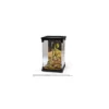 Noble Collection Magical Creatures - Les animaux Fantastique : Botruc - Bowtruckles