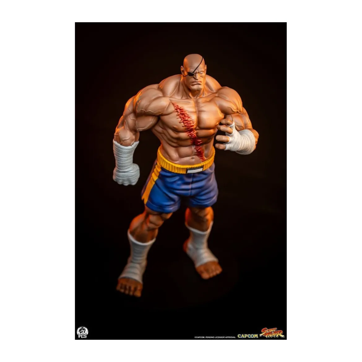 PCS - Street Fighter: Street Jam - Sagat & Juli 1:10 Scale Statue Set
