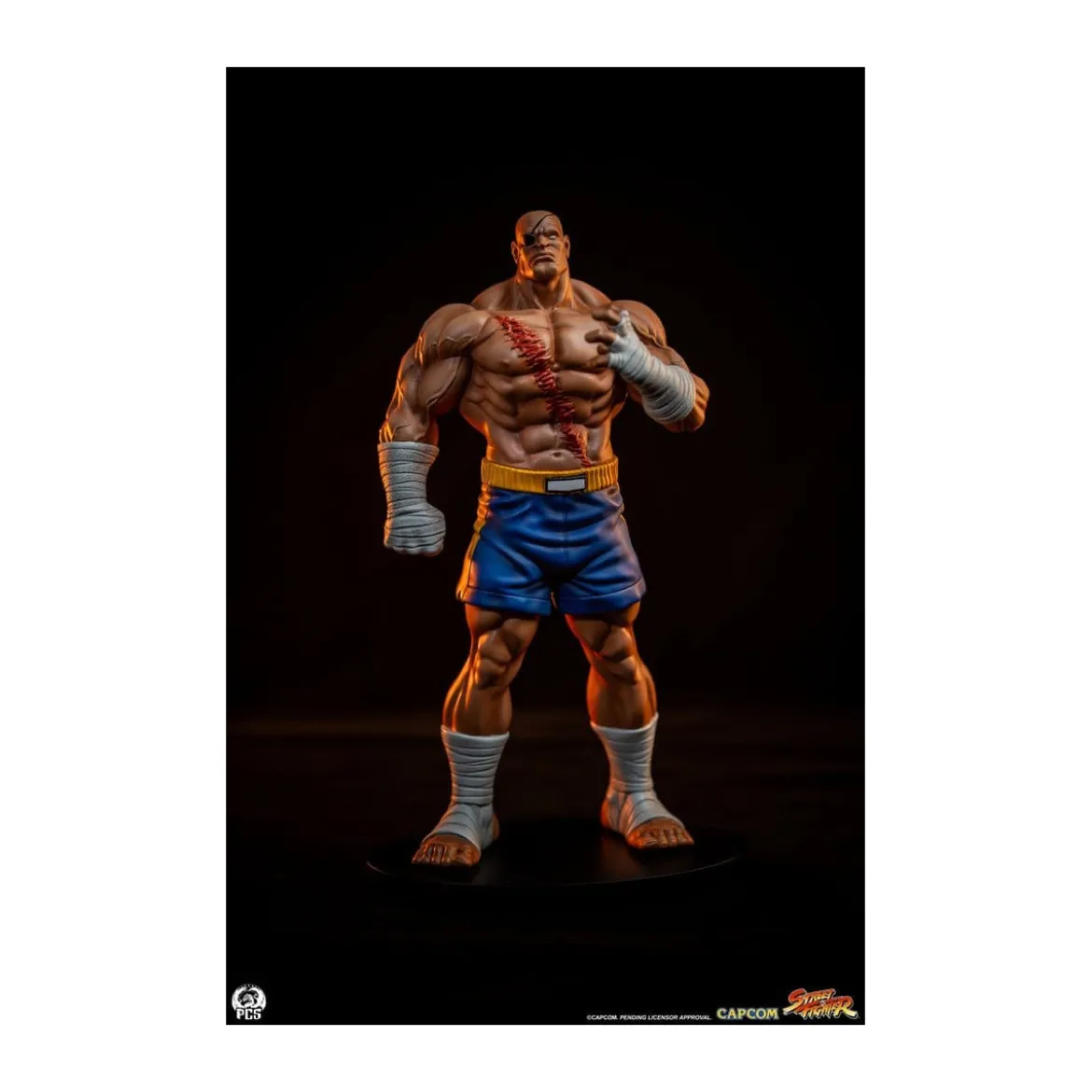 PCS - Street Fighter: Street Jam - Sagat & Juli 1:10 Scale Statue Set