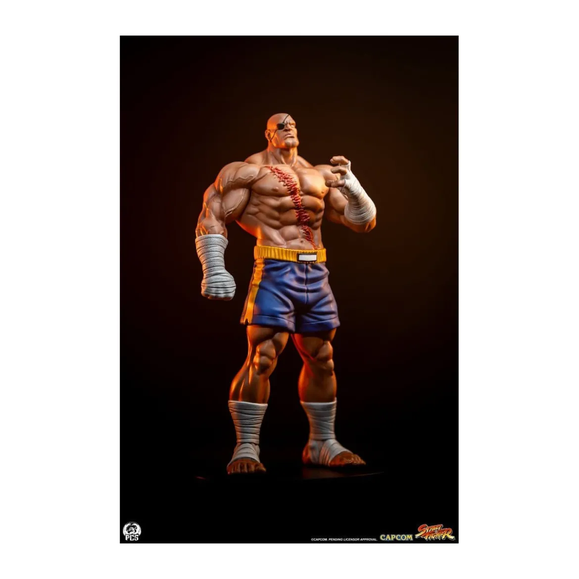 PCS - Street Fighter: Street Jam - Sagat & Juli 1:10 Scale Statue Set