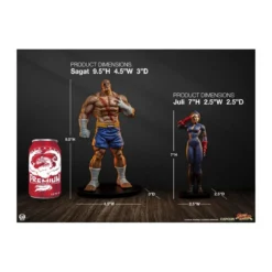 PCS - Street Fighter: Street Jam - Sagat & Juli 1:10 Scale Statue Set