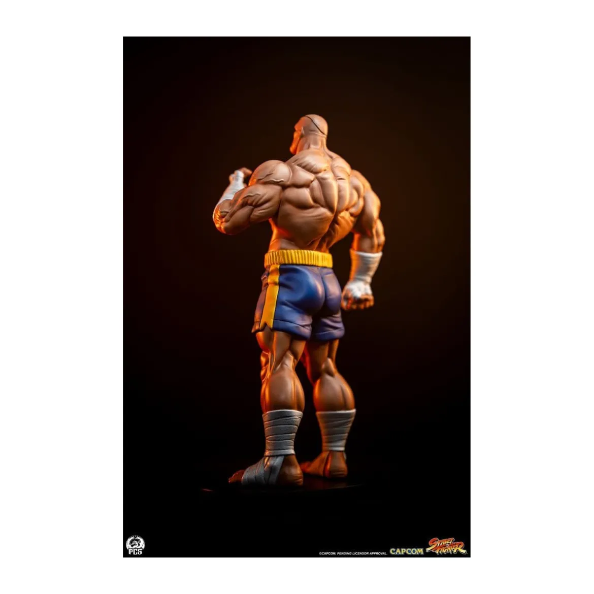 PCS - Street Fighter: Street Jam - Sagat & Juli 1:10 Scale Statue Set