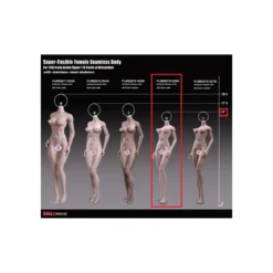 Phicen - TBLeague 1/6 Scale Female Super-Flexible Seamless Body - Corp petit pale bonnets moyens