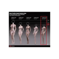 Phicen - TBLeague 1/6 Scale Female Super-Flexible Seamless Body - Corp petit bronzé bonnets moyens